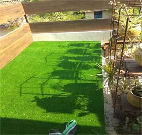 Artificial Grass