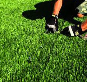 Artificial Grass