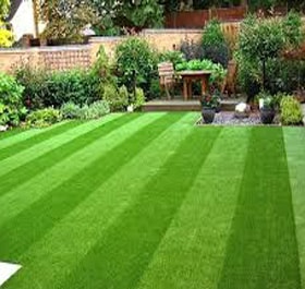 Artificial Grass