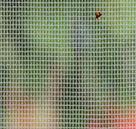 Green Net Green Net