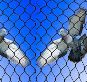 Pigeon Nets Pigeon Nets