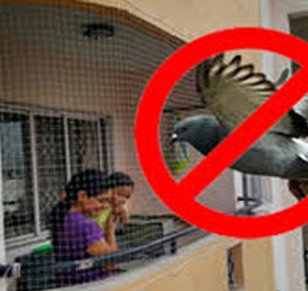 Pigeon Nets Pigeon Nets