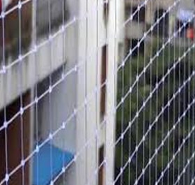 Pigeon Nets Pigeon Nets