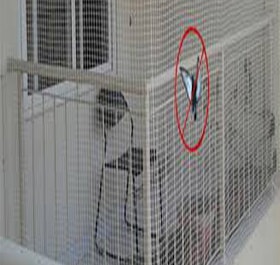 Pigeon Nets Pigeon Nets