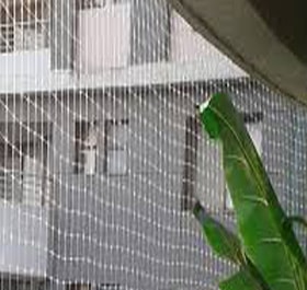 Pigeon Nets Pigeon Nets